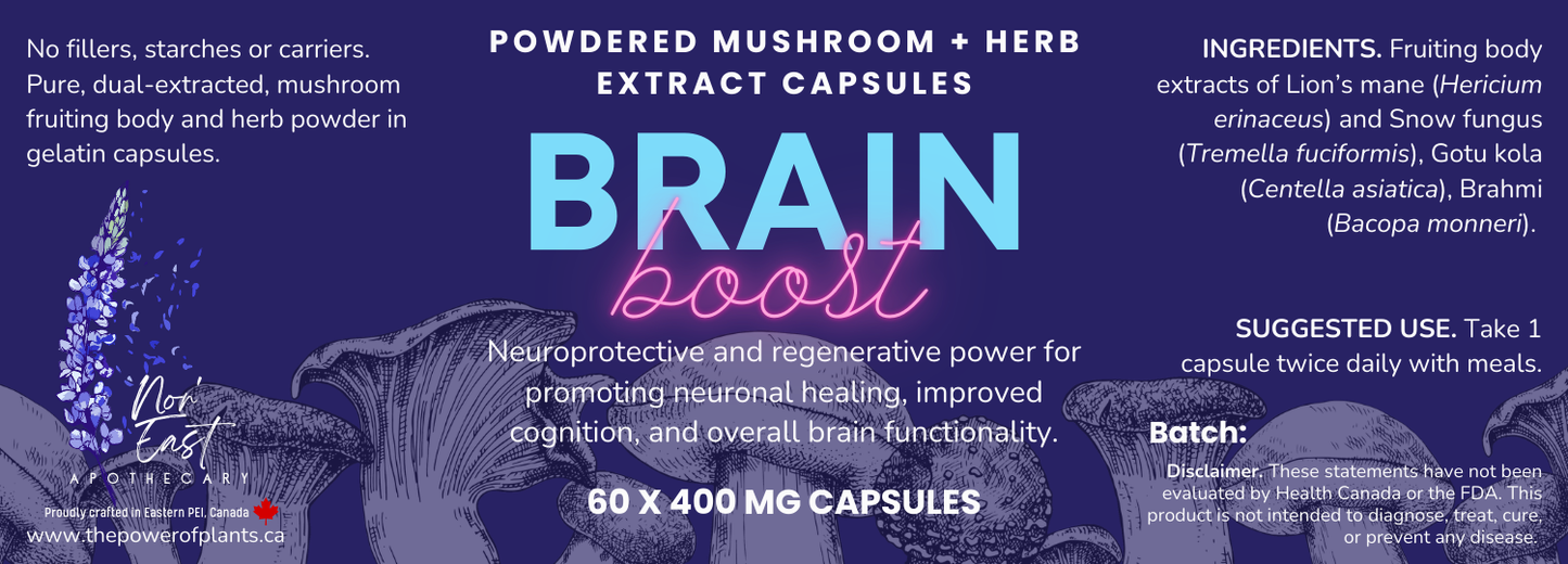 Brain Boost Mushroom Capsules