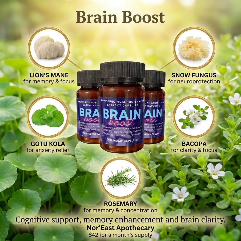 Brain Boost Mushroom Capsules