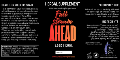 Full Stream Ahead