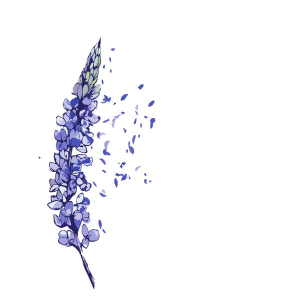 Nor'East Apothecary