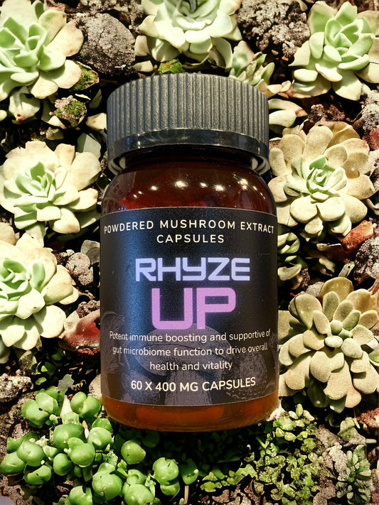 Rhyze Up Mushroom Capsules