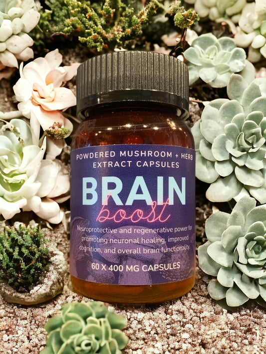 Brain Boost Mushroom Capsules