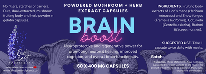 Brain Boost