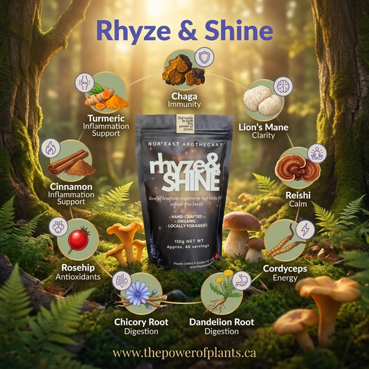 Rhyze & Shine